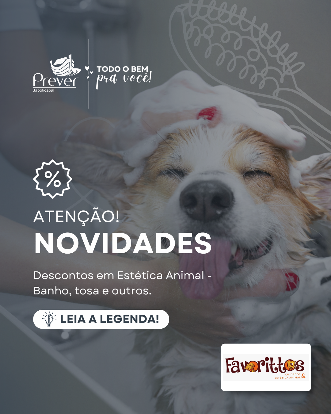 Favorittos - Cuidado & Estética animal.