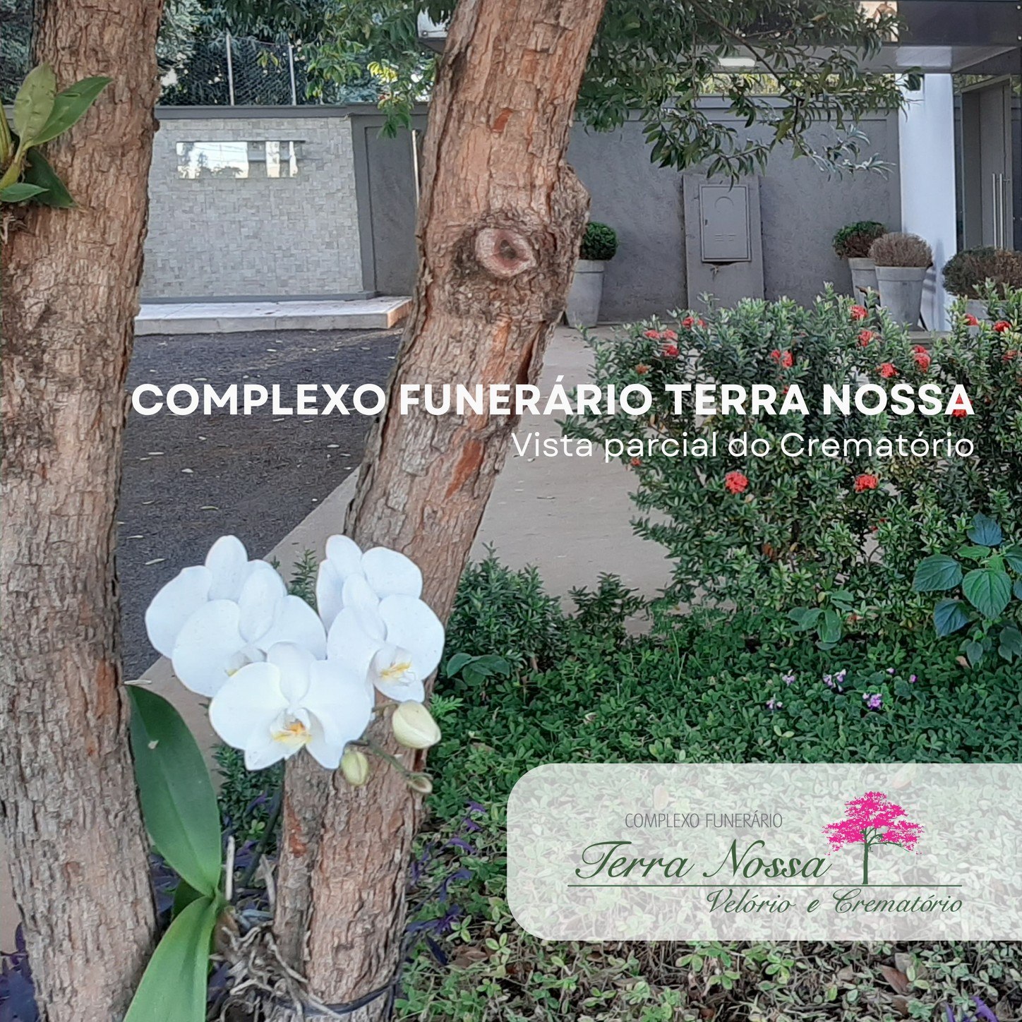  vista parcial do Crematório Prever