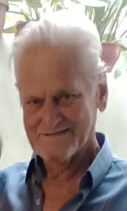 Pedro Antonio Scarpim