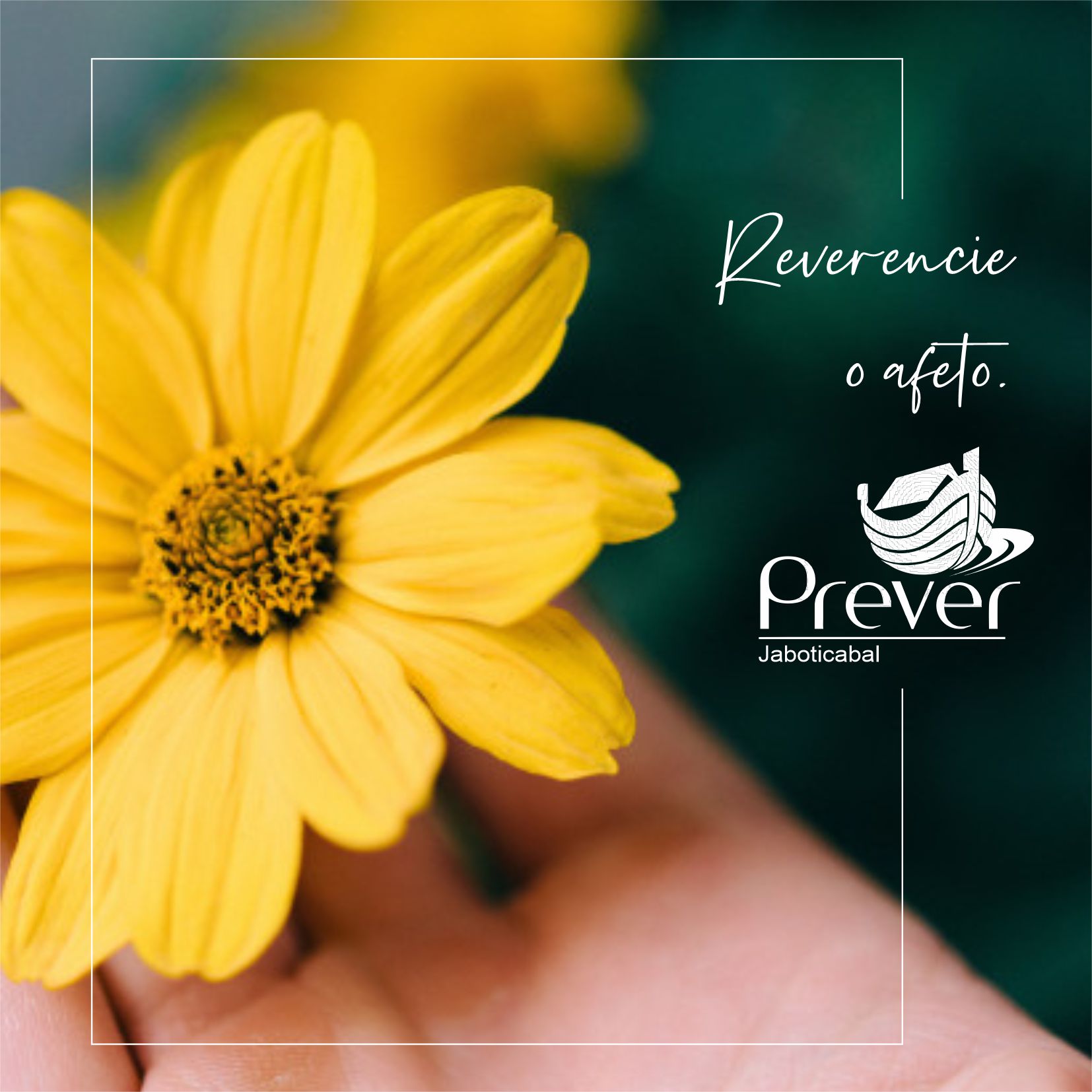 Fazer homenagem póstuma é importante para o enlutado