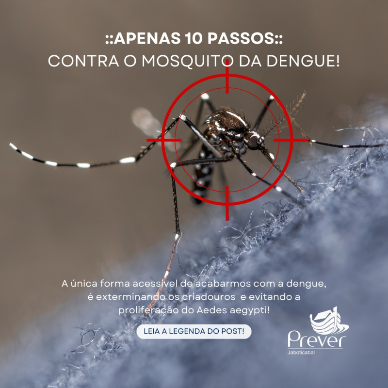 10 PASSOS CONTRA A DENGUE