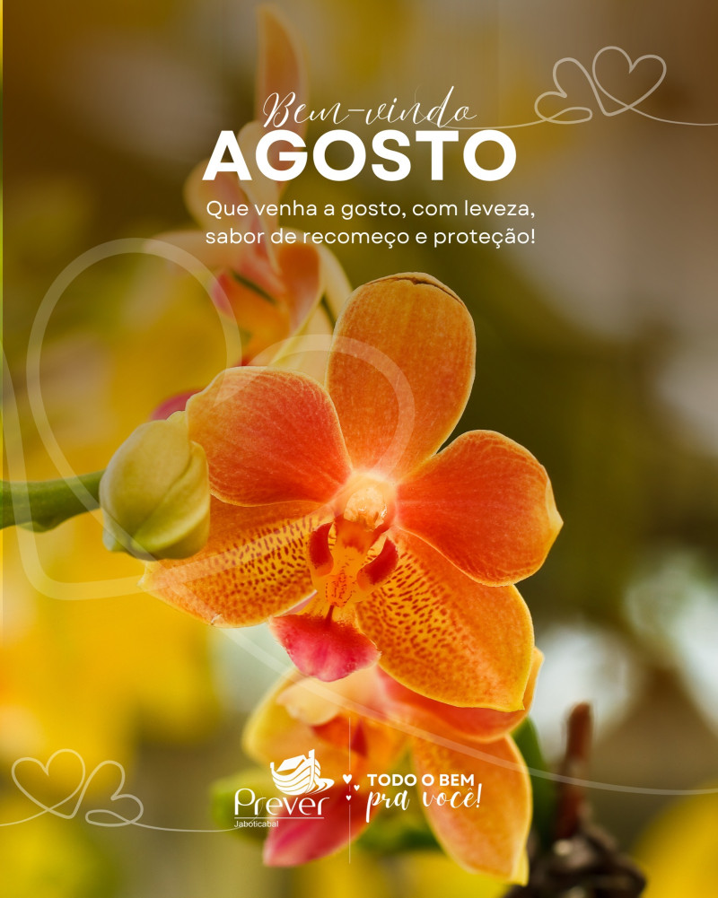 Bem-vindo, agosto! 