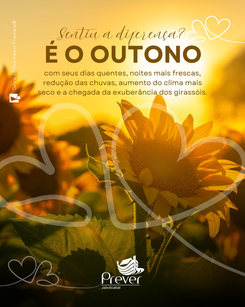 O outono chegou !