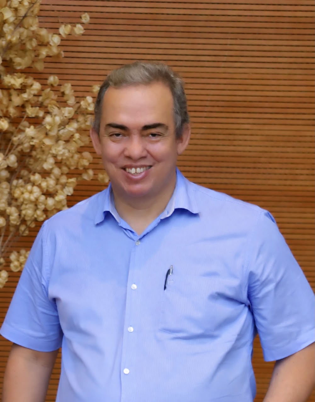 Leandro Alves Da Silva Figueiredo
